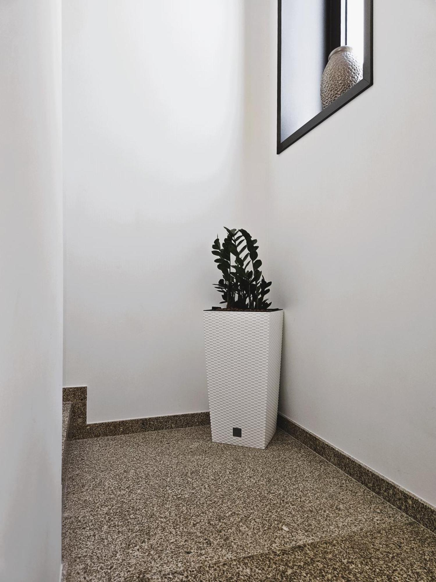 Casa Do Moinho Apartment Cabeceiras de Basto Luaran gambar